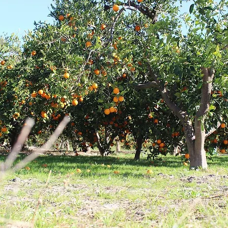 Y Rural Naranjos בית הארחה