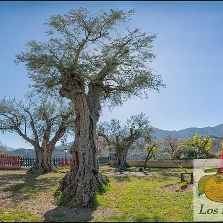 Guest house Y Rural Naranjos 2*