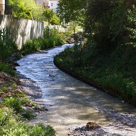 Y Rural Naranjos Melegis