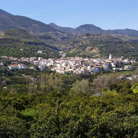 Y Rural Naranjos 2*