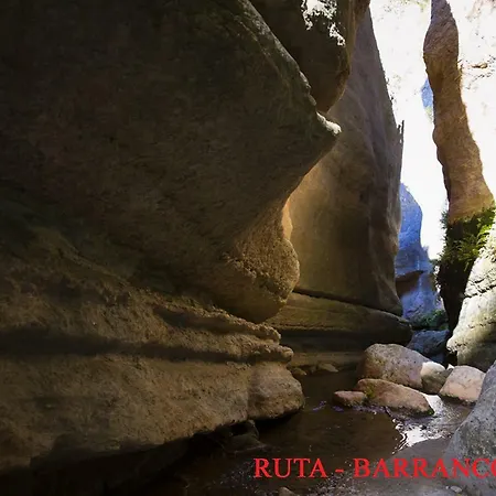 Y Rural Naranjos