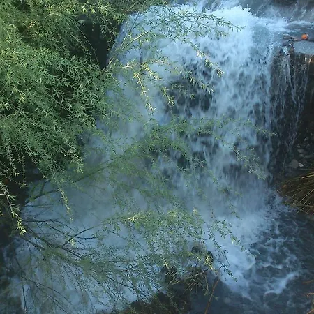 Konukevi Y Rural Naranjos