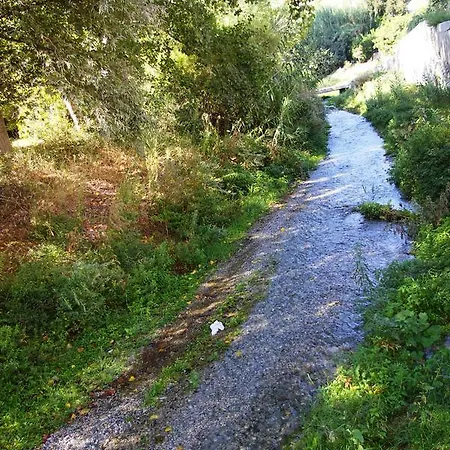Konukevi Y Rural Naranjos Melegis