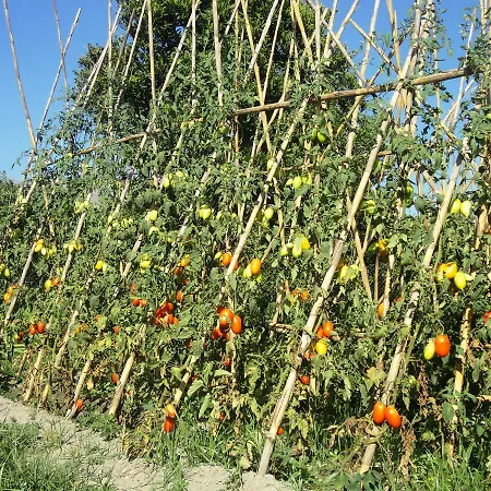Konukevi Y Rural Naranjos